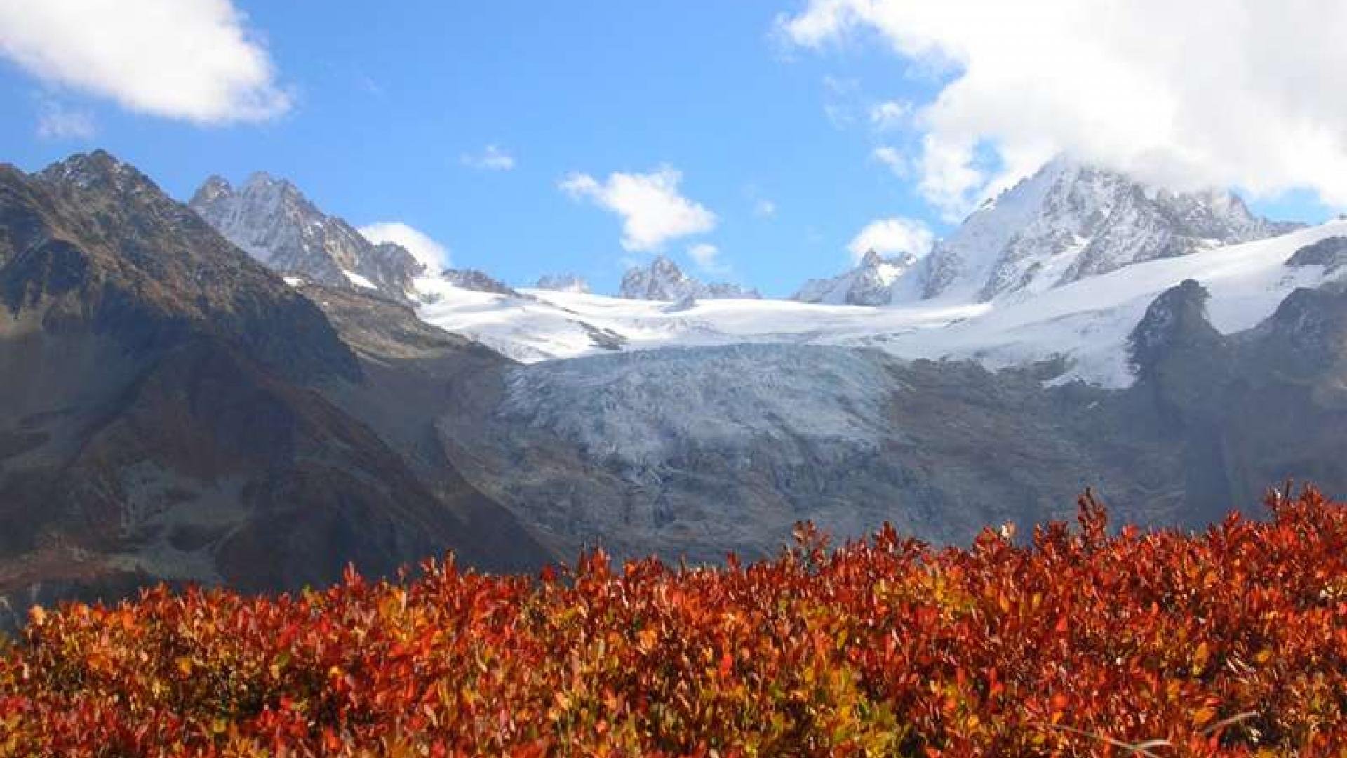 glacier du tour